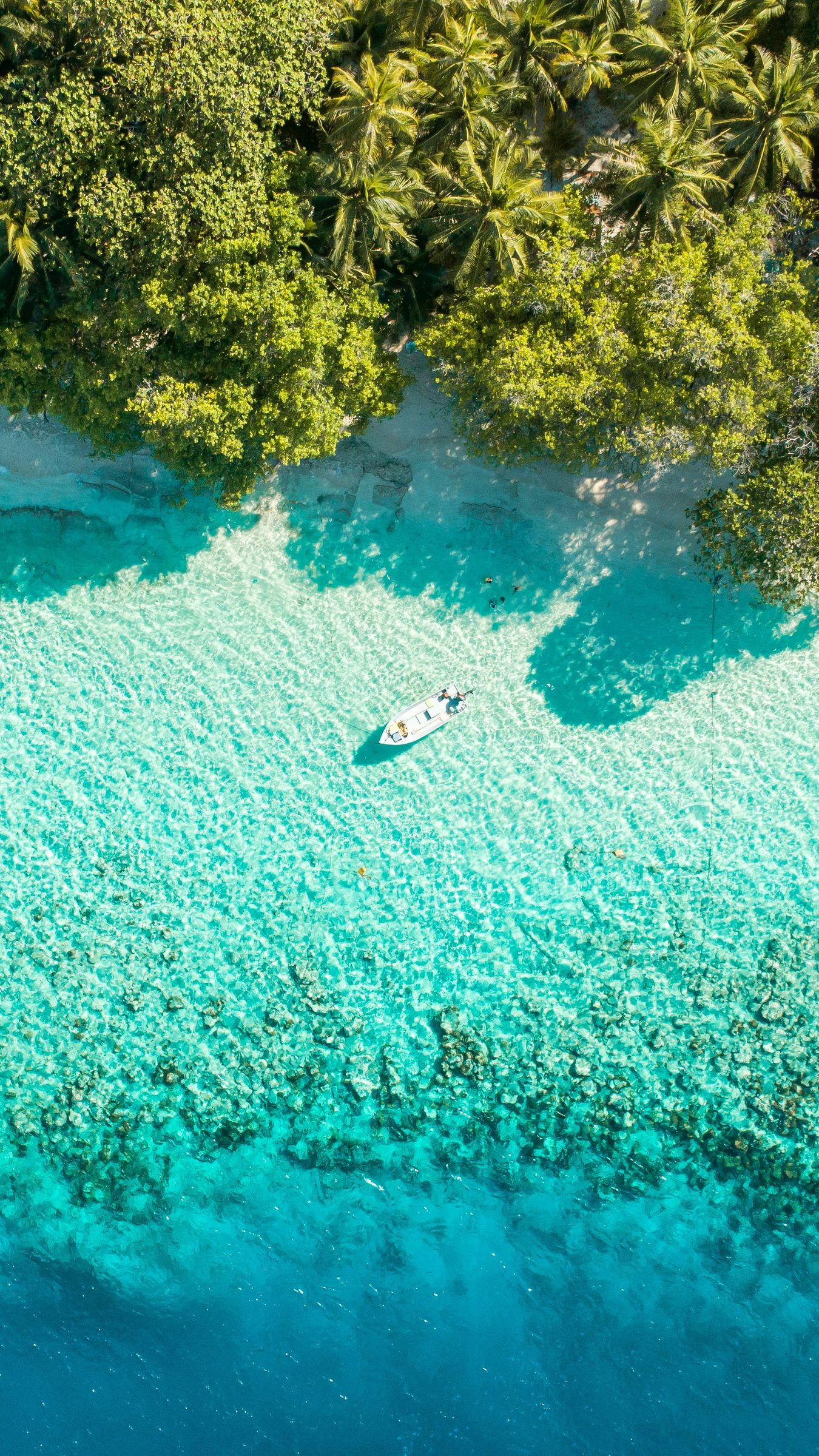 A yacht anchored in a still bay at the soft end of the day